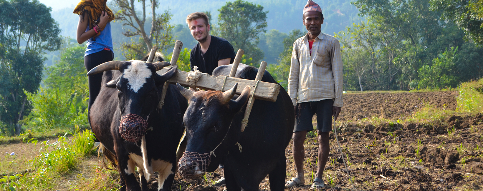 Cultural Immersion Program with Gap Year Nepal