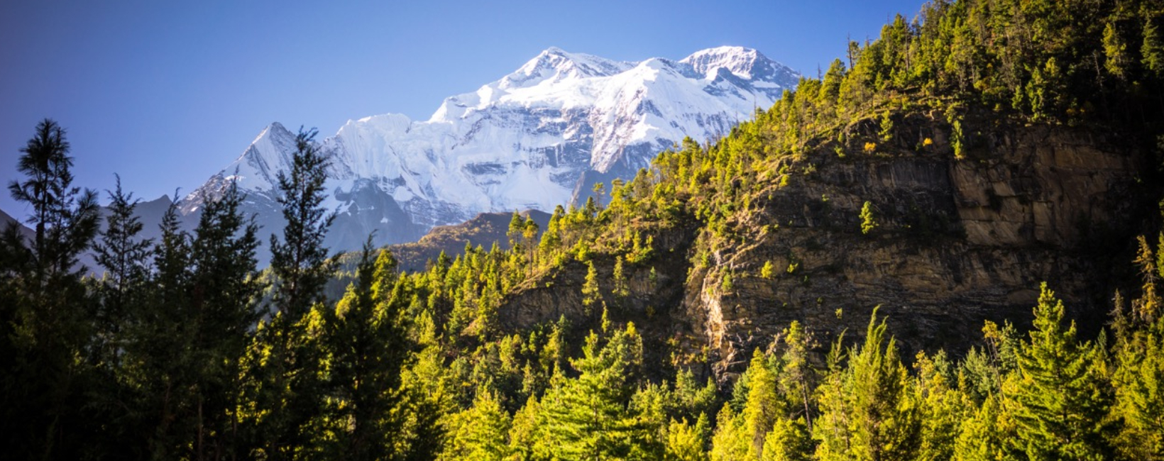 Voyage to the Heart of hills